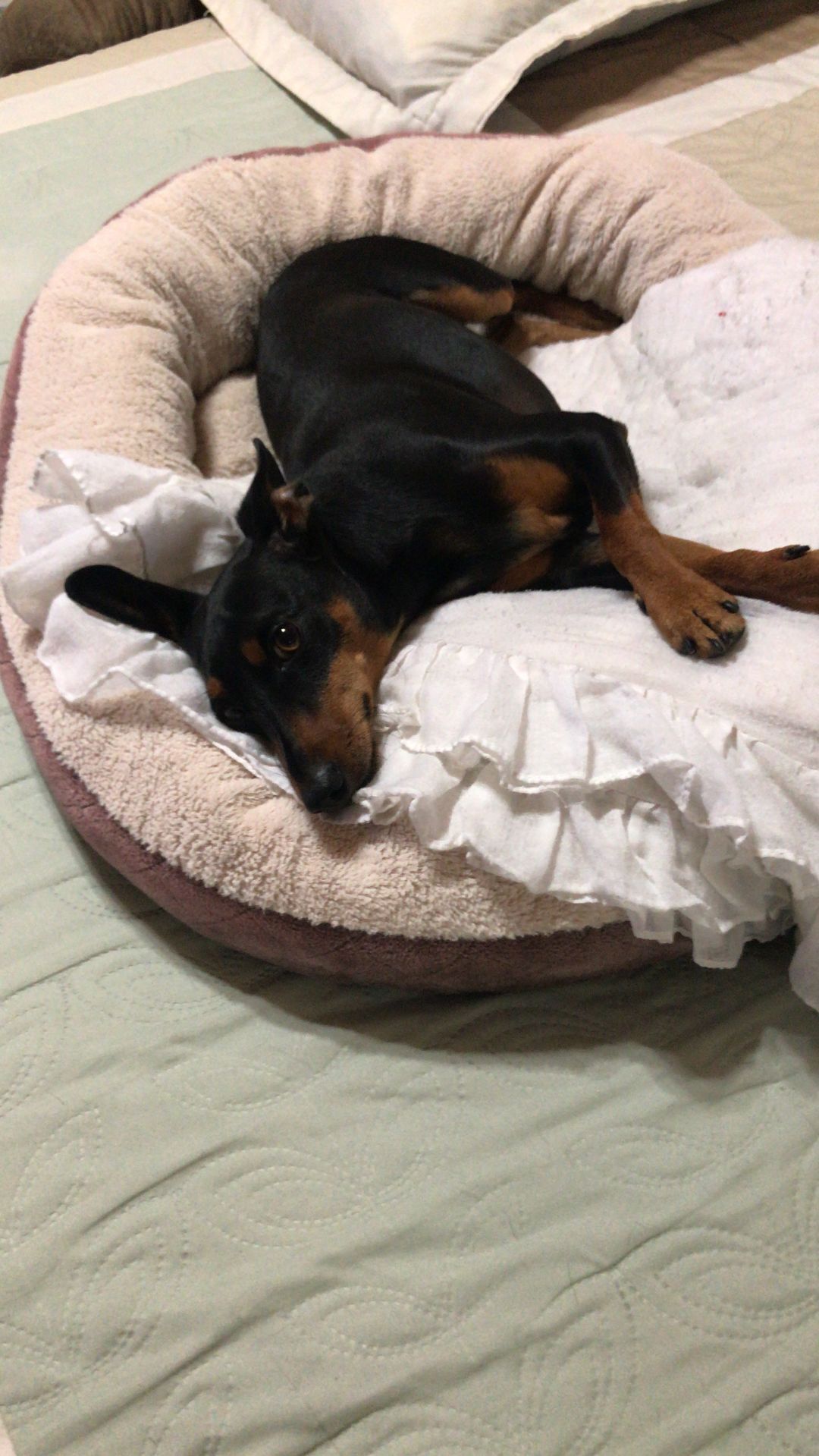 Max